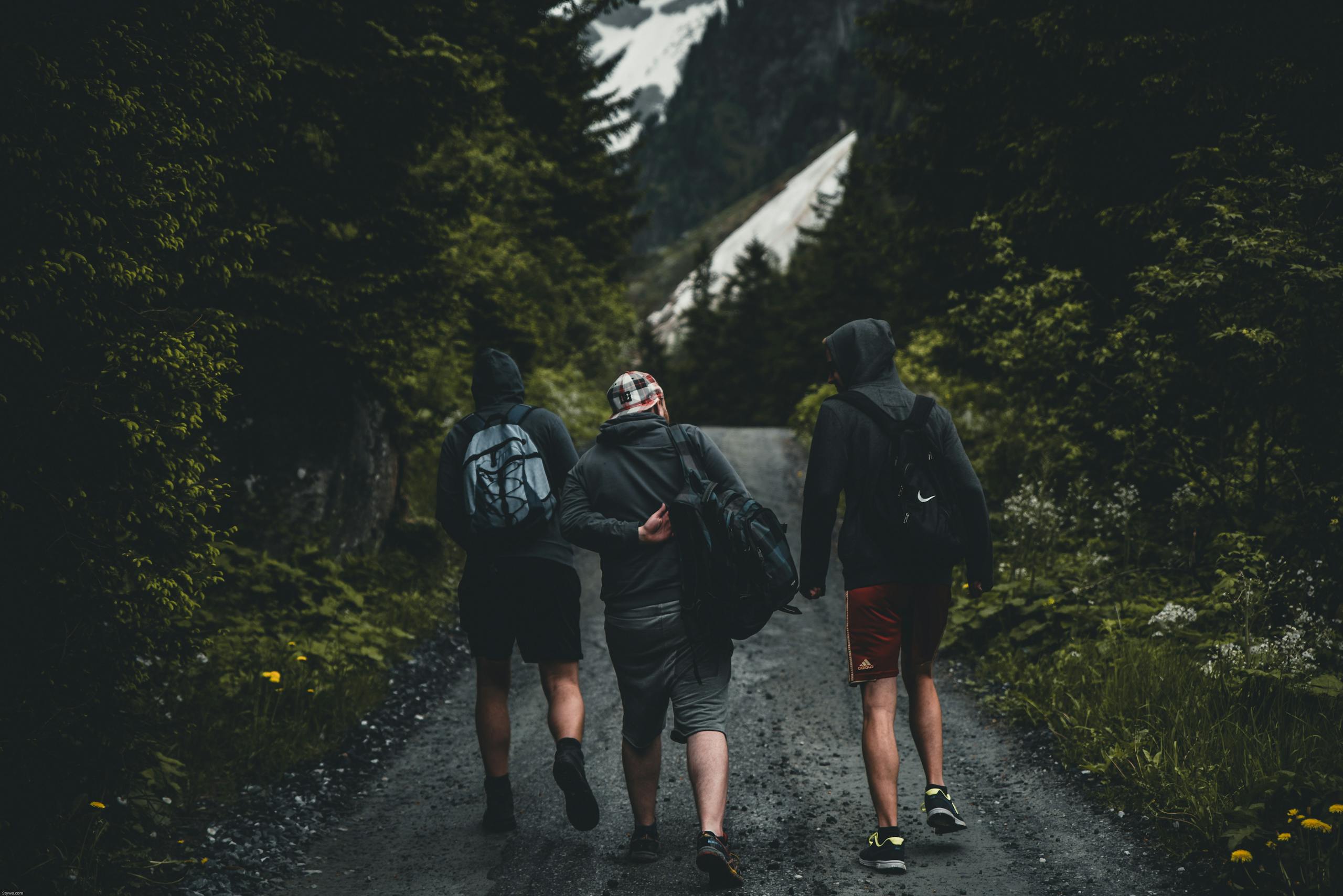 Three friends walking on a mountain trail in Kitzbühel, Tirol, Austria, amidst lush greenery.